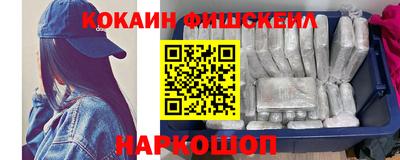 амф Гусев