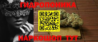 эйфоретик Гусиноозёрск