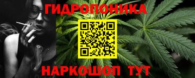 амф Гусев