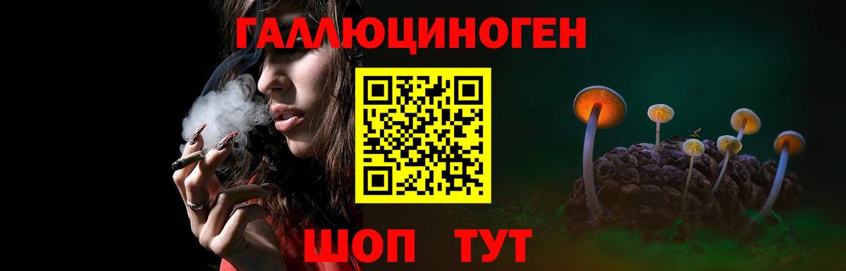 Псилоцибиновые грибы прущие грибы  Вход с VPN  Орёл  продажа наркотиков  Галлюциногенные грибы Psilocybine cubensis 